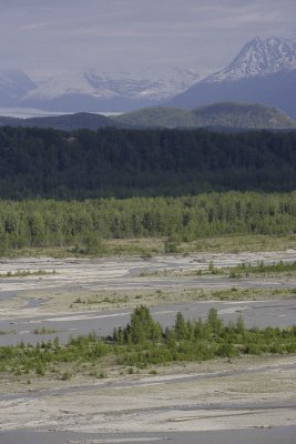 On the way to Matanuska Glacier