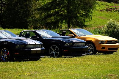 DSC_5794.JPG