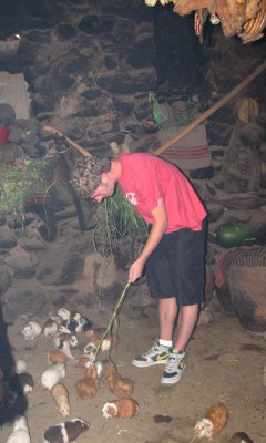 James, feeding the Guinea Pigs in the Kitchen