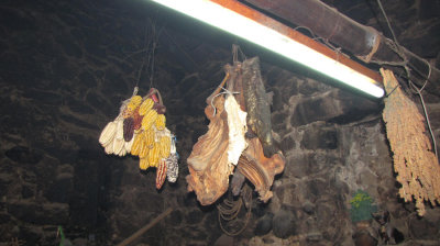 Drying Meat, Corn and Herbs