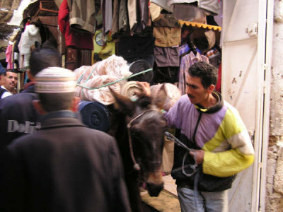 Frenzy in the Fes Souq (Market)