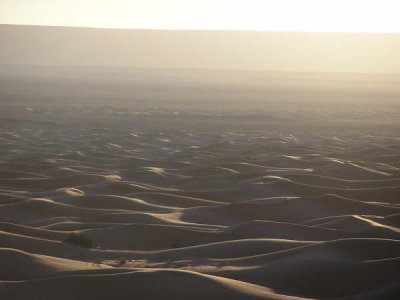 Sunrise in the Desert
