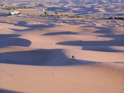Desert Shadow