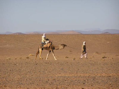 Desert Berbers