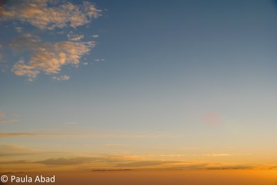 Dubai's Desert