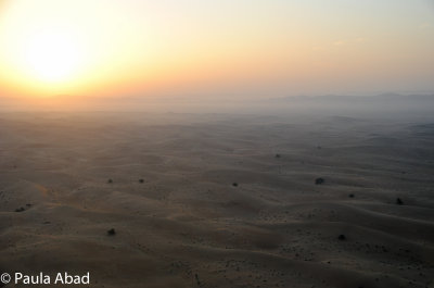 Dubai's Desert