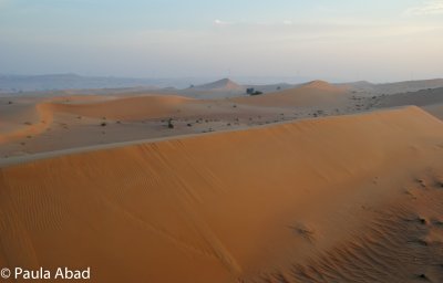 Dubai's Desert