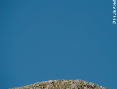 g4/59/988159/3/134904929.OD0Mwg3D.jpg