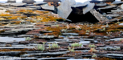 PILES OF STONES