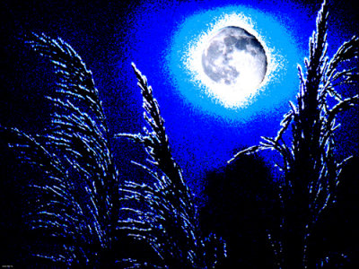 Blue Moon