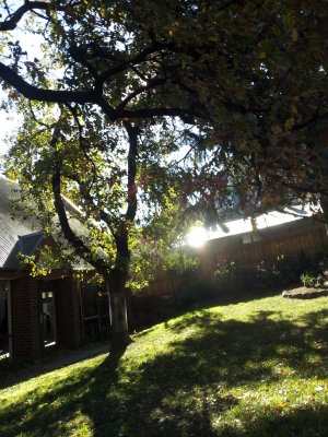 Garden 27B