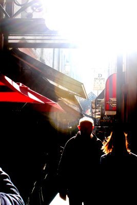 Under the Shadows