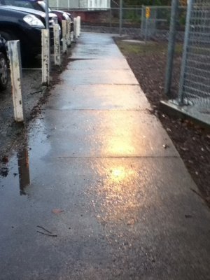awsome light on wet footpath.jpg