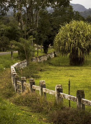 8351 Fence Line