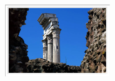 Roman Forum 6