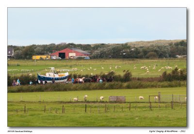 147-5D2_MG_9058.jpg