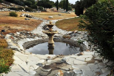 THESE POOLS ATTRACT WATER FOWL AND RESORT MEMBERS ALIKE