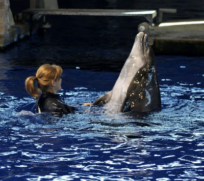 THE AQUARIUM SHOW WAS PACKED WITH VISITORS