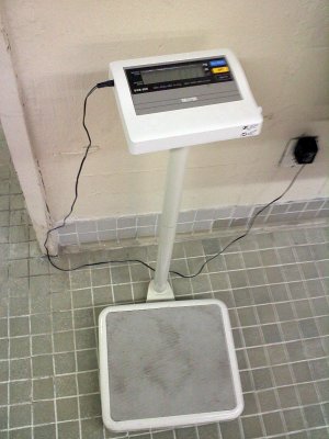 THESE SCALES ARE SO ACCURATE THAT JUST DRINKING WATER DURING A WORKOUT CAN CAUSE YOU TO APPEAR TO GAIN WEIGHT