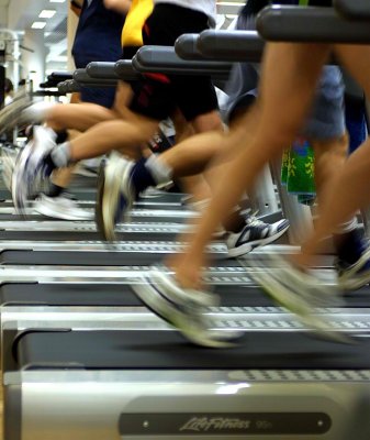 LOOKING DOWN THE ROW OF USED TREADMILLS IS A STUDY OF MOTION AND COLOR