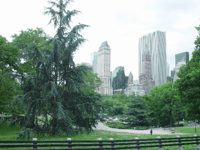 A VIEW OF THE SKY LINE FROM CENTRAL PARK