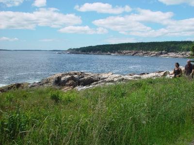 ONE OF THE MANY SALT MARSHES IN ACADIA NATIONAL PARK