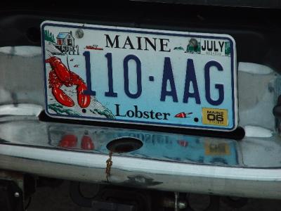 MAINE IS THE LOBSTA  STATE ,,,,,SOMEDAY WE  WILL BE PERMANENT MAINERS IF IN ASHES ONLY
