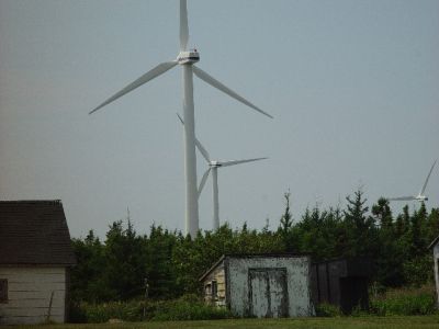 THERE ARE OVER 10 OF THESE GIANTS AT NORTH CAPE