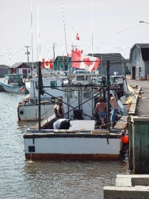 THE ACADIANS ARE EXCELLENT FISHERMEN