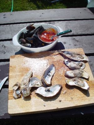 COOKED, SHUCKED AND READY TO EAT.......WITH HOME MADE SAUCE....
