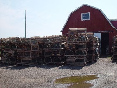 TRAPS STACKED ON THE DOCK.....................