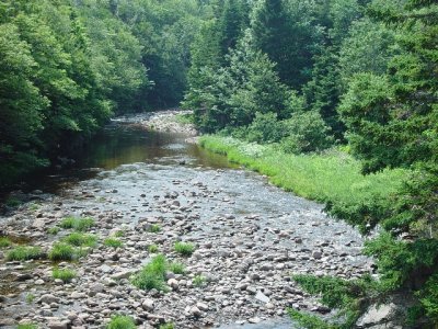 ONE MANY RIVERS IN THE MEAT COVE AREA