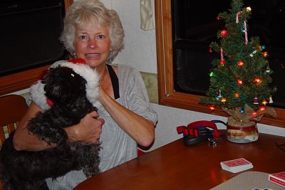 CHARLIE LOVED TO WEAR HIS SANTA HAT-YEAH RIGHT!!!