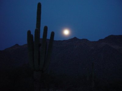 THE DESERT AT NIGHT UNDER A FULL MOON IS AWE INSPRING......