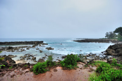 Shark Cove