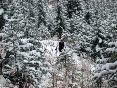 JANUARY Mike Adams runs the PCT in the Cascades