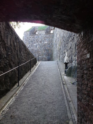 A pathway