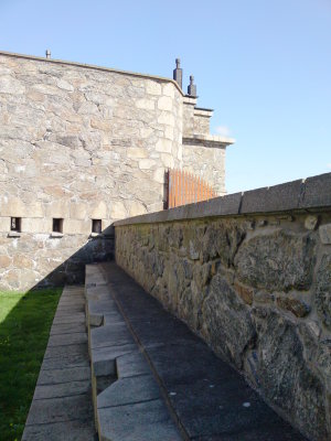 DSC00338.JPG