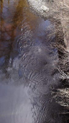 Swirling water with tree reflexions