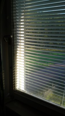 blinds