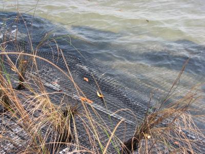 close up from standing on shore, north