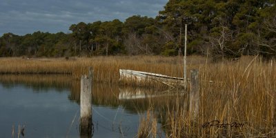 EASTERN SHORE & FISHERMANS ISLAND MARSHES