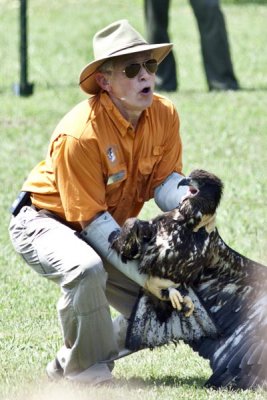 ED CLARK RELEASES EAGLET