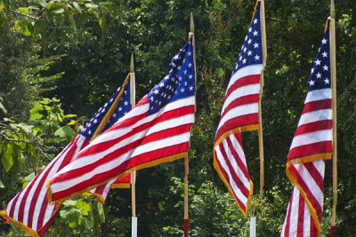 SUMMER FLAGS