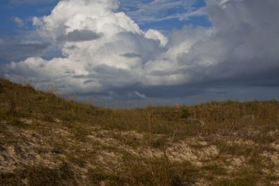 BACK BAY WILDLIFE REFUGE