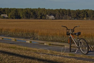 BIKE RIDING THRU THE NATIONAL WILDLIFE REFUGE OF ASSATEAGUE ISLAND