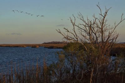 SUNRISE AT MACKAY ISLAND NWR