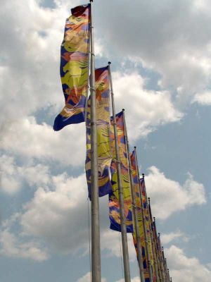 SCOPE FLAGS