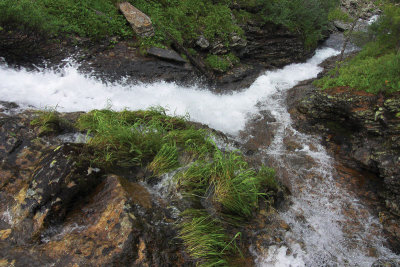 CRW_9045_.jpg