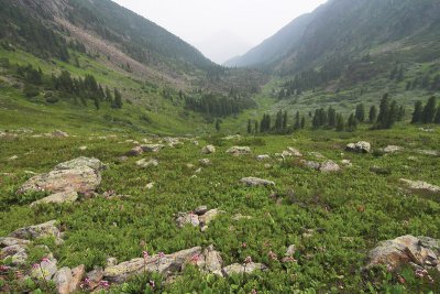  the devil's pass.jpg